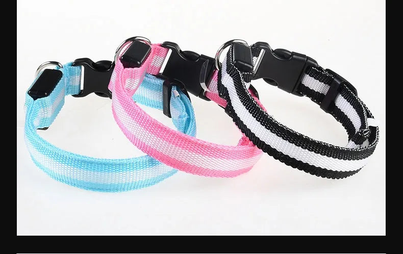 GlowCollar® – LED Nylon Dog Collar - Vista 16 del producto