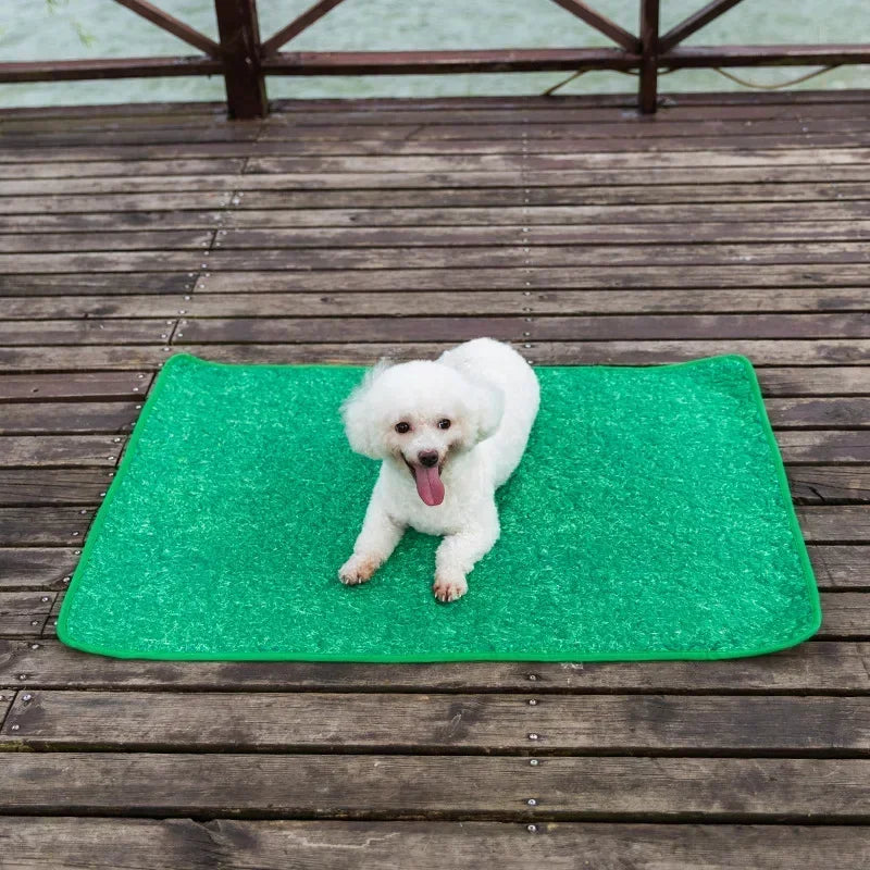 DryPaws® – Washable Absorbent Dog Pee Pad - Vista 4 del producto
