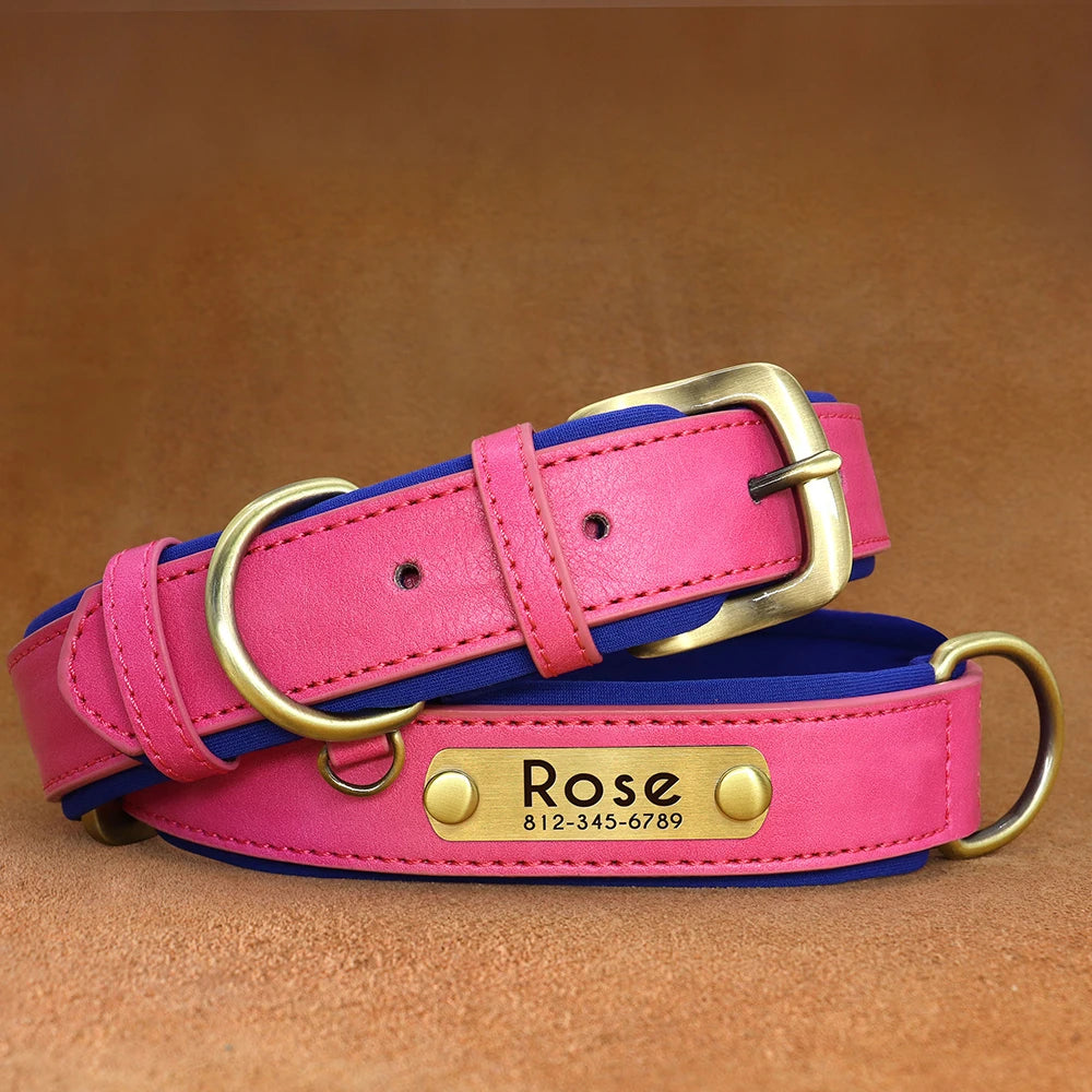 PawTag® – Personalized Leather Collar (Free Engraving) - Vista 12 del producto
