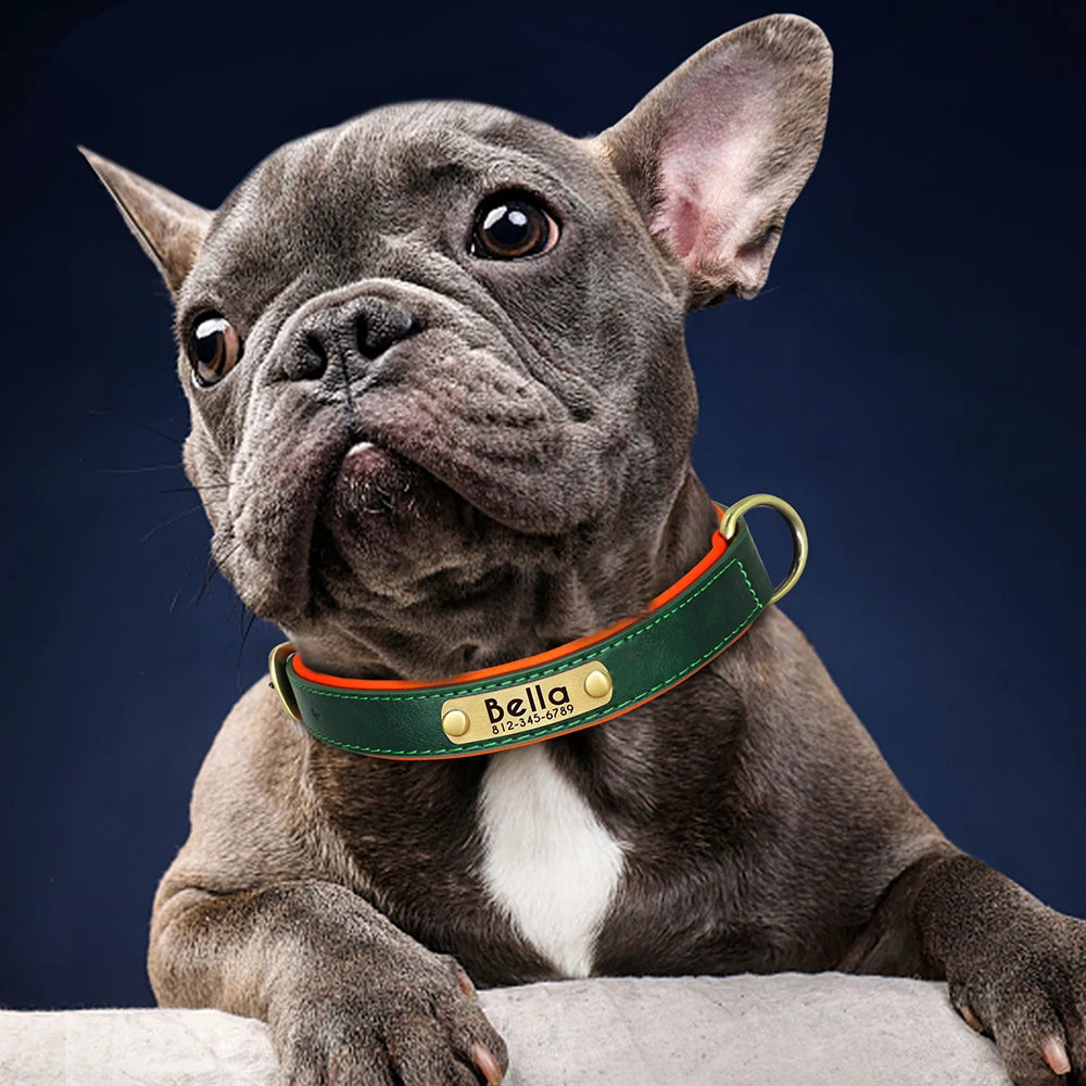 PawTag® – Personalized Leather Collar (Free Engraving) - Vista 2 del producto