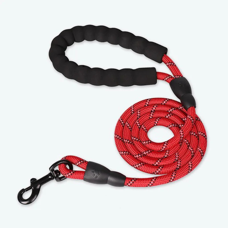 TrainTrek® – Heavy-Duty Recall & Training Lead - Vista 6 del producto