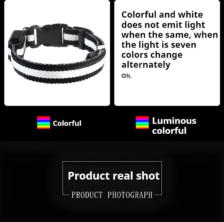 GlowCollar® – LED Nylon Dog Collar - Vista 12 del producto